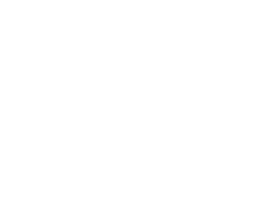 Leticia Laguna Logo